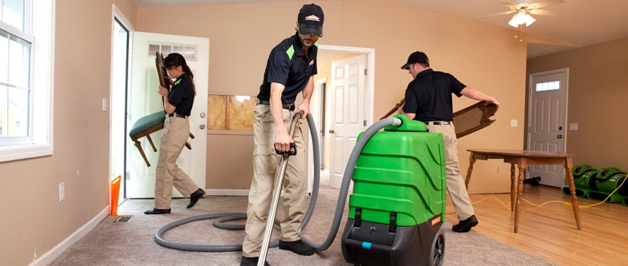Burnsville, MN cleaning services